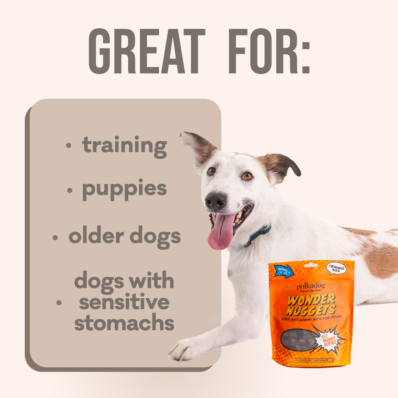 Polkadog Wonder Nuggets Peanut Butter - 10 oz
