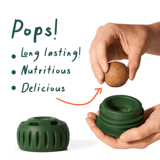 Woof Pupsicle Pops - Beef