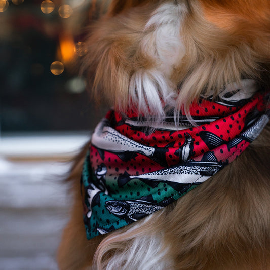 Gone Fishing Cooling Bandana