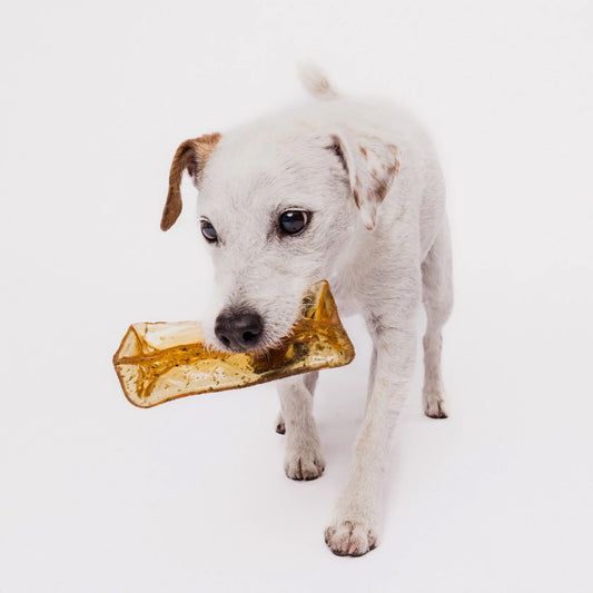 Mighty Marrow Collagen Dental Chew - Pork & Parsley - Large