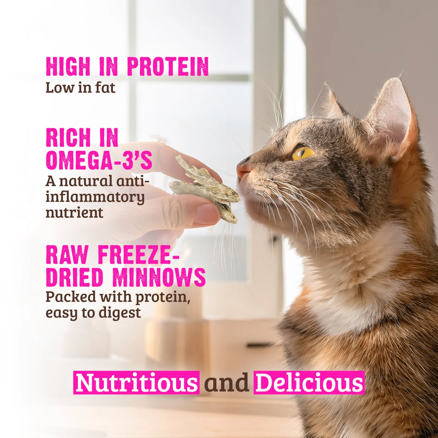 Raw Freeze Dried Minnows Cat Treats
