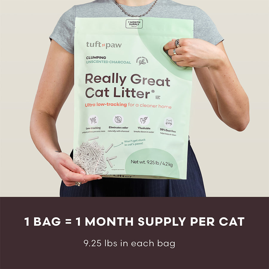 Really Great Cat Litter - Unscented Charcoal