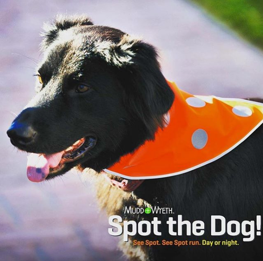 Orange Dog Safety Bandana