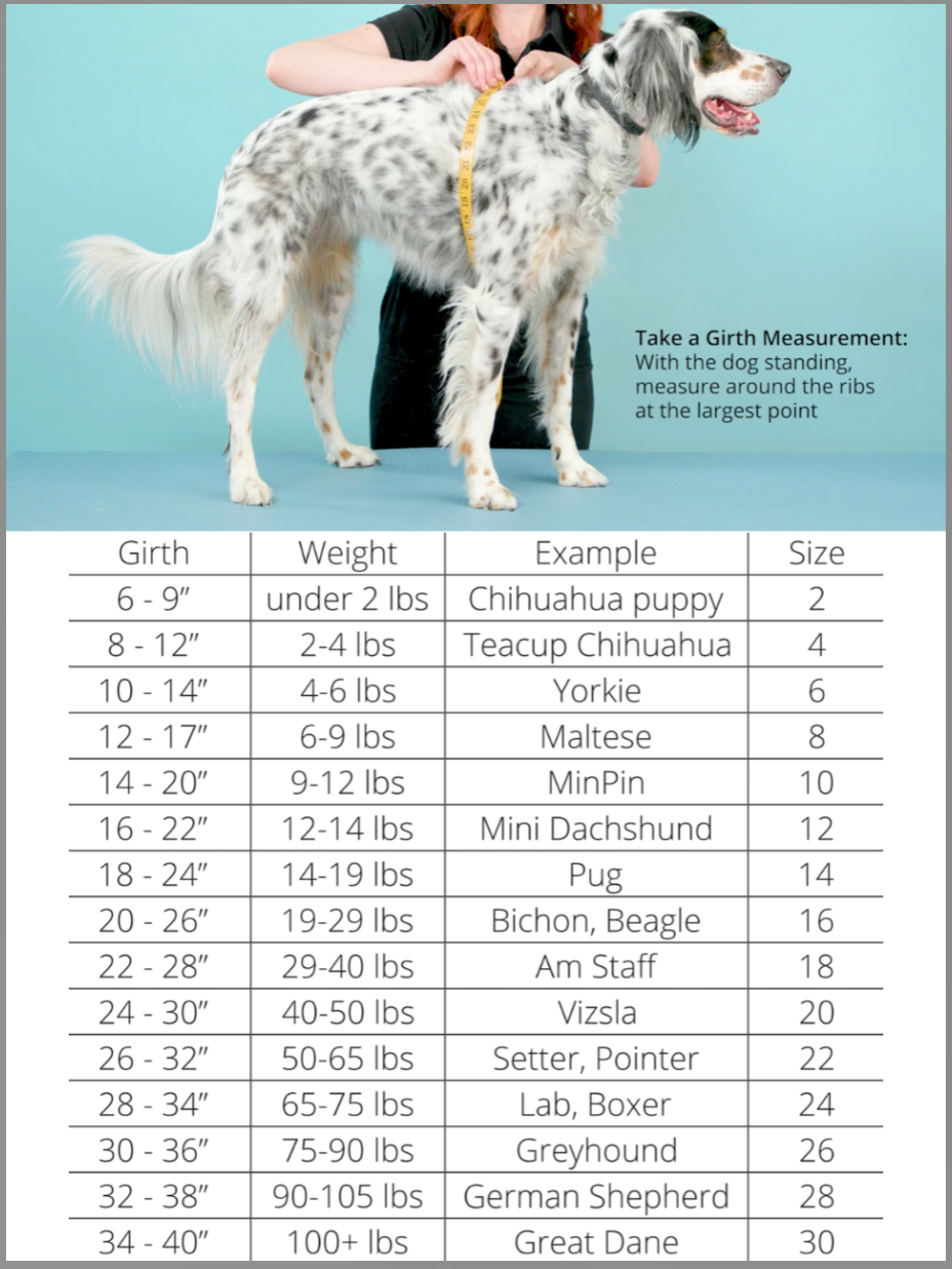 Goldpaw Series Baja Beach Sun Shield