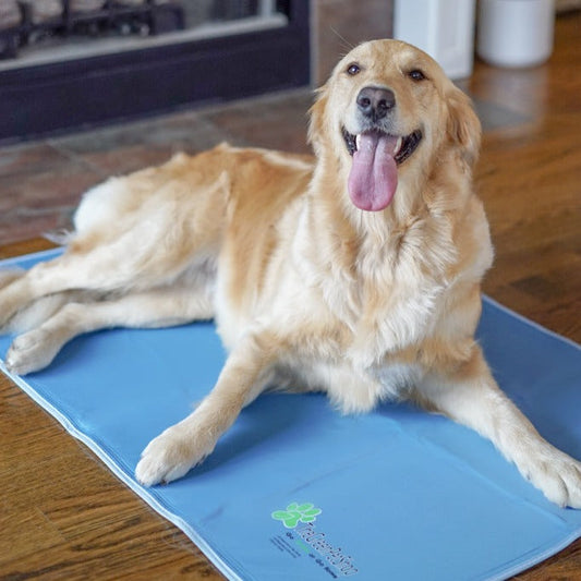 Cool Pet Pad Self-Cooling Cushion