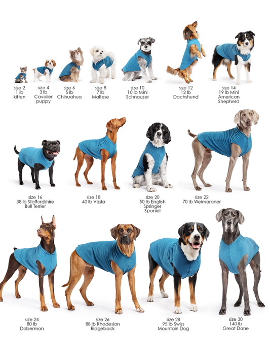 Goldpaw Series Baja Beach Sun Shield