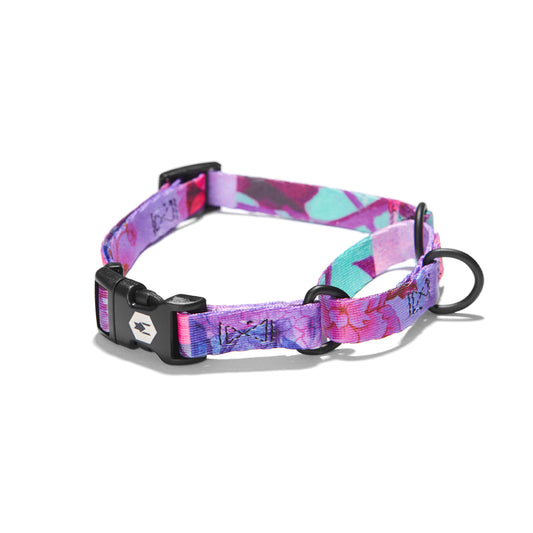 DayDream Martingale Collar