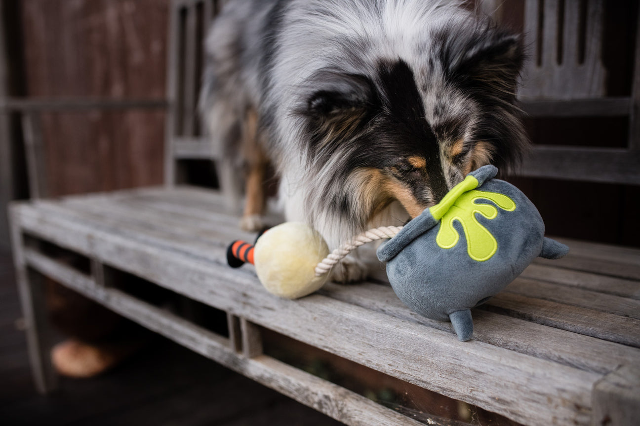 Howling Haunts Pups Potion