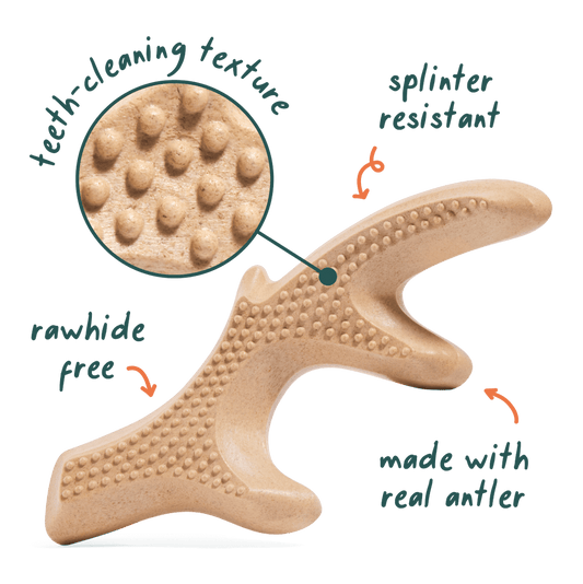 Woof HonestChew Antler