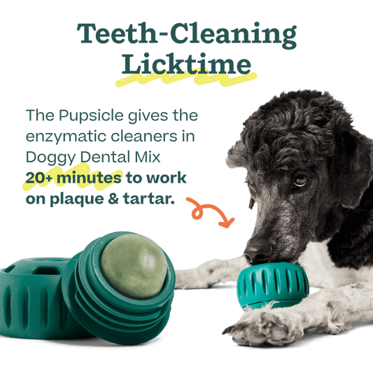Doggy Dental Mix