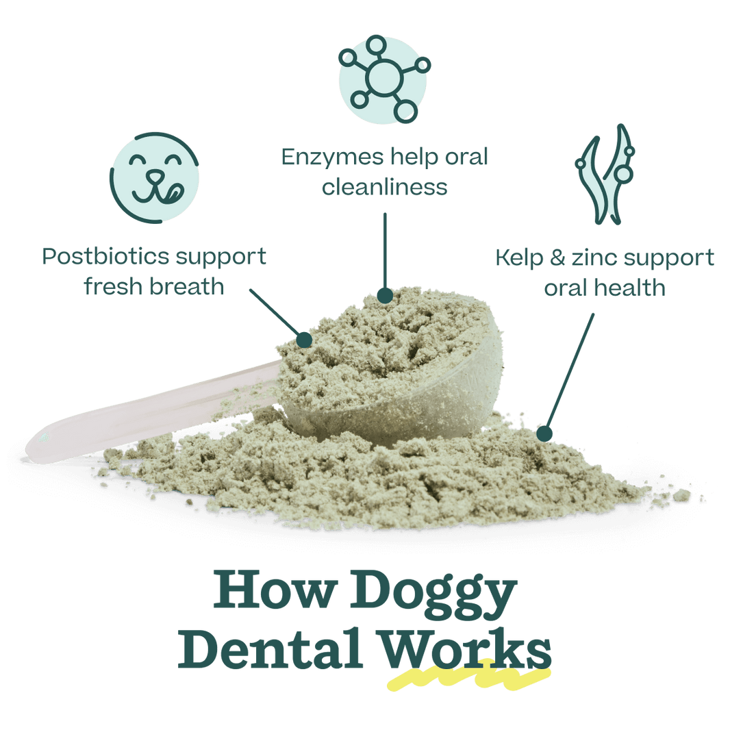 Doggy Dental Mix
