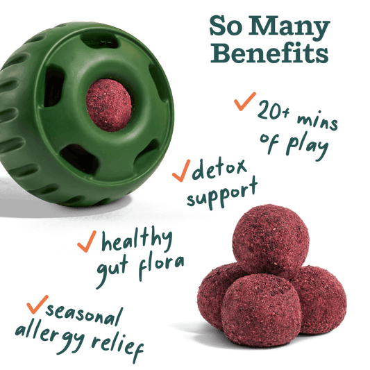 Pupsicle Allergy & Immunity Pops