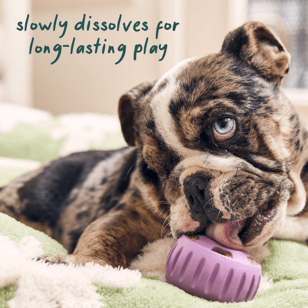 Woof Calming Wellness Pops