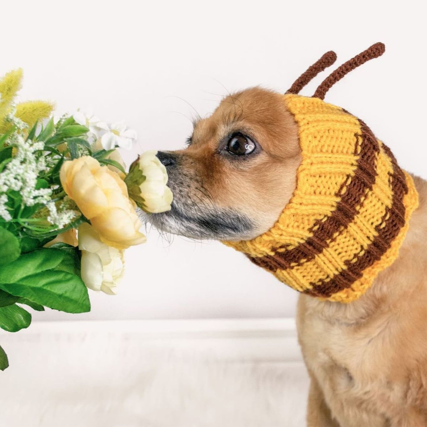 Bee Dog Snood