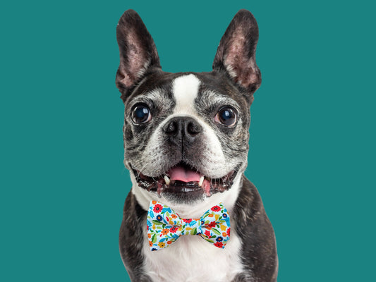 Vintage Floral Bow Tie