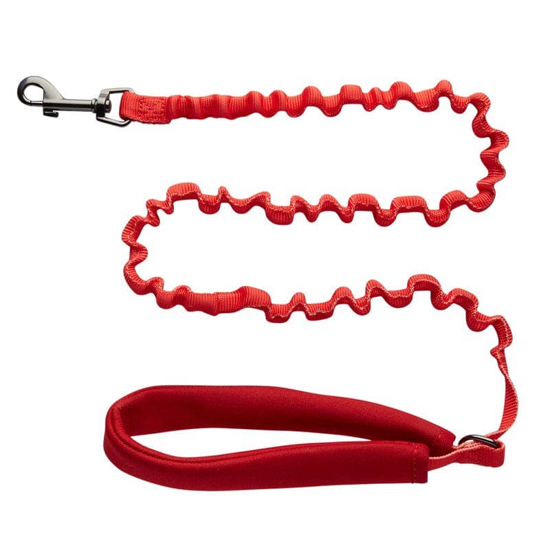 "The Day Tripper" Adjustable H-Style Cat Harness & Leash - Color Block