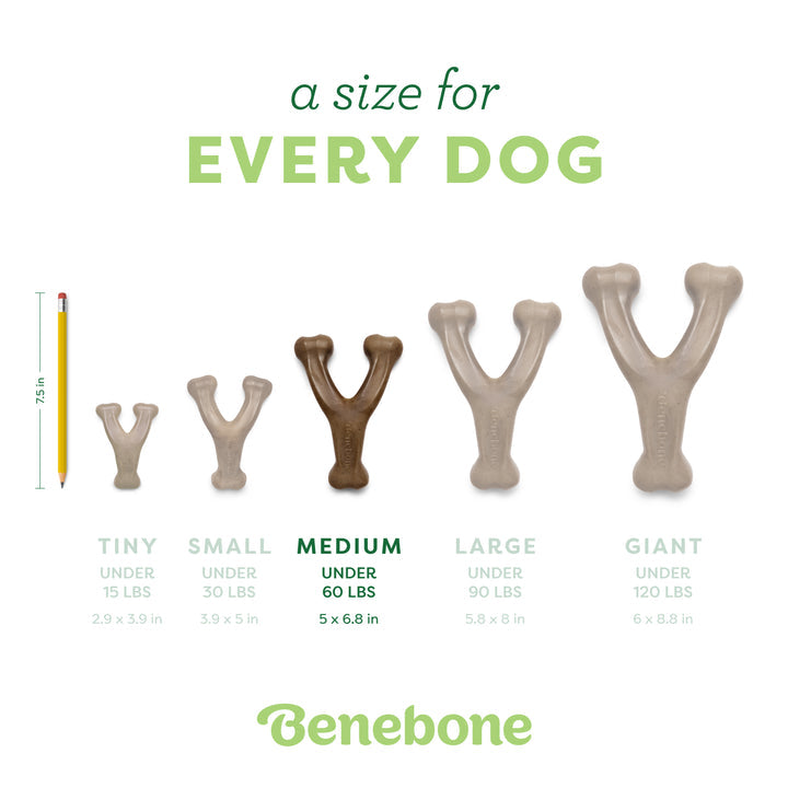 Benebone Bacon Wishbone - Medium