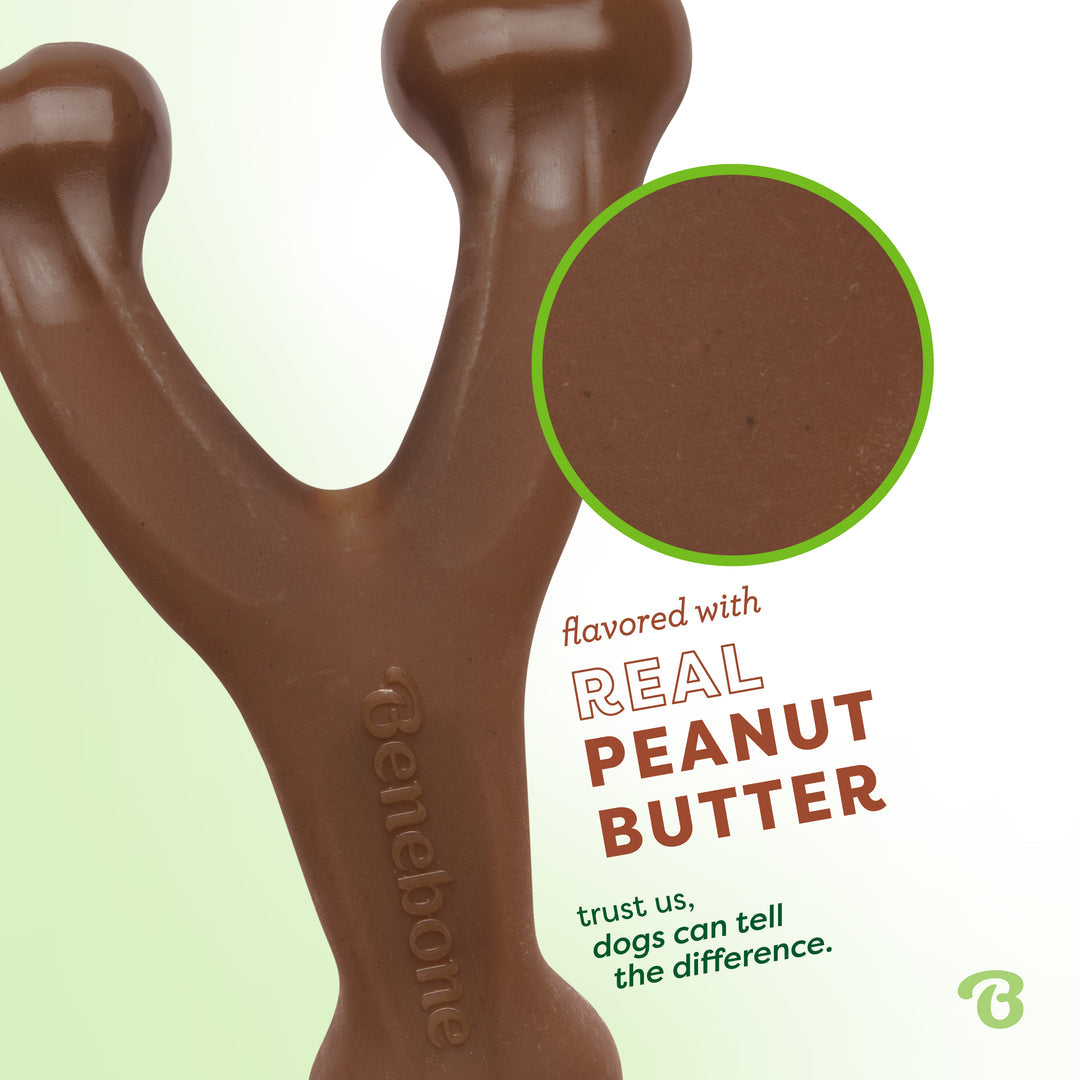Benebone Peanut Butter Wishbone - Small