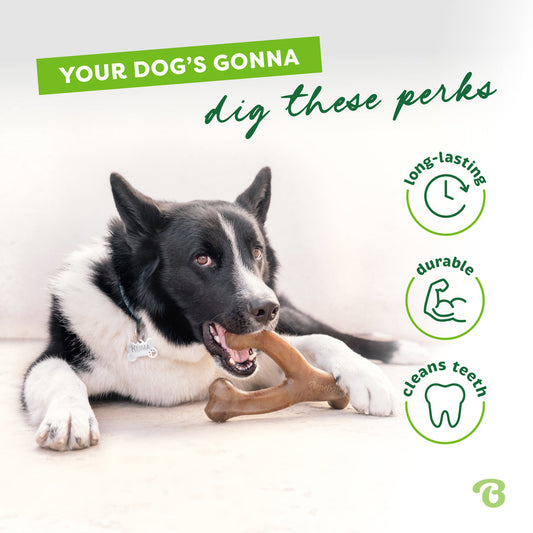Benebone Peanut Butter Wishbone - Large