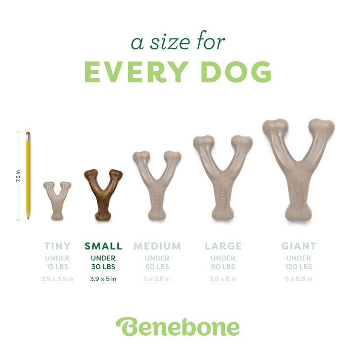 Benebone Peanut Butter Wishbone - Small