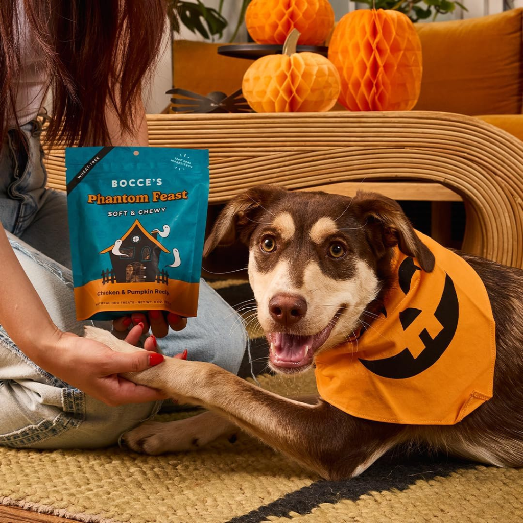 Bocce's Soft & Chewy Dog Treats - Phantom Feast 6 oz