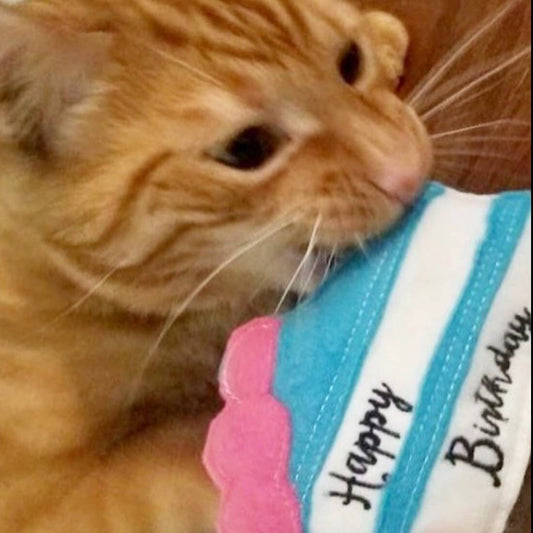 Catnip Birthday Cake Handmade Catnip Cat Toy