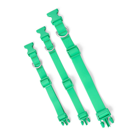 Springer Waterproof & Adjustable Dog Collar - Green