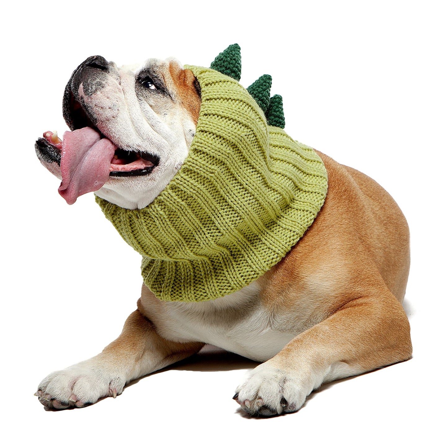 Dinosaur Dog Snood