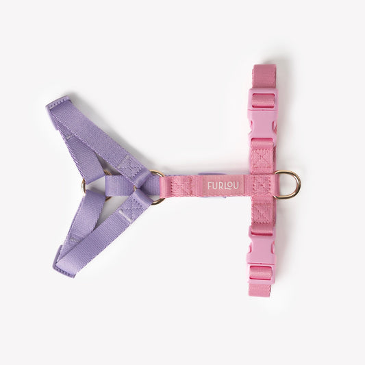 Lavender + Pink Strap H-Style Harness