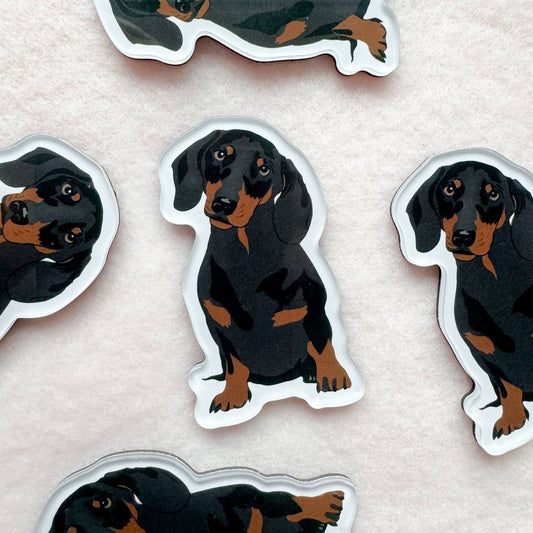 Black & Tan Dachshund Magnet