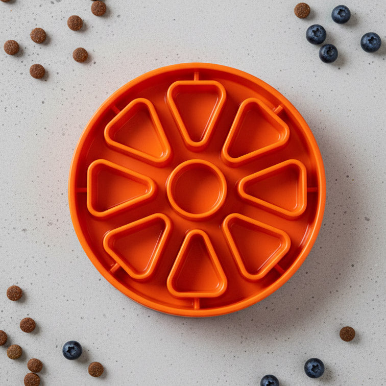 Citrus Softie eTray Shallow Slow Feeder Dog Bowl