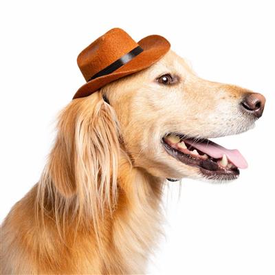 Cowboy Hat
