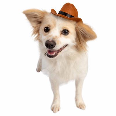 Cowboy Hat