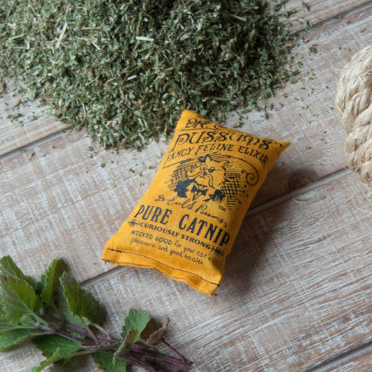 Dr. Pussums Small Logo Catnip Pillow Toy