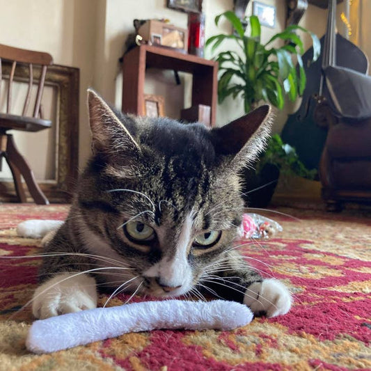 Smokey's Stash Pre Rolled Catnip Joints (5 Pack)