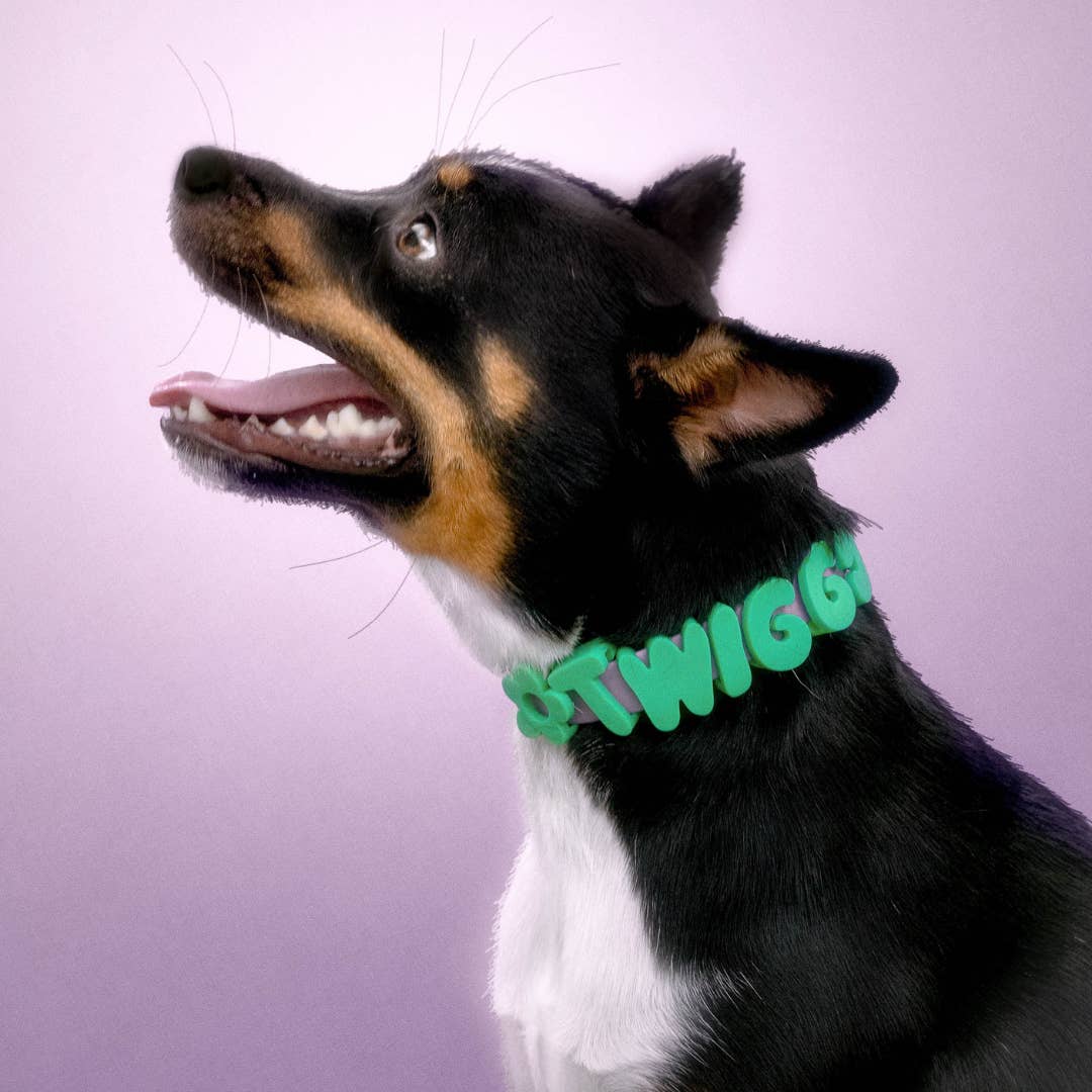 Springer Waterproof & Adjustable Dog Collar - Lilac
