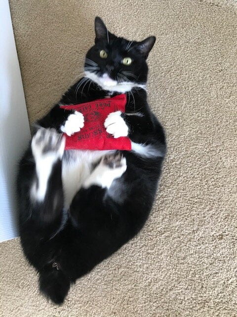 Dr. Pussums Soft Square Catnip Pillow