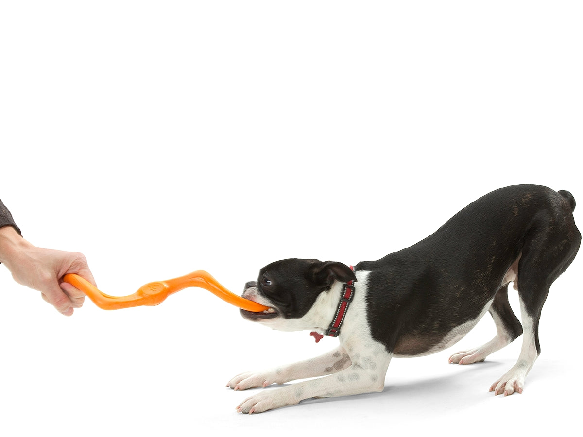 Bumi® Dog Toy For Chew, Tug, and Fetch