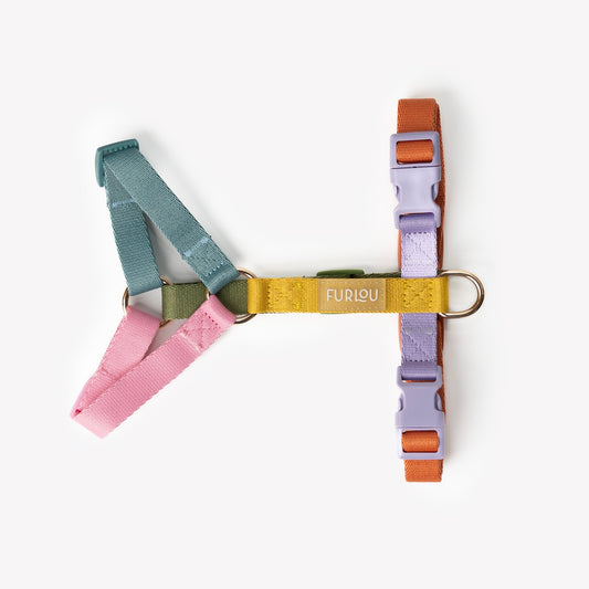 Rainbow Strap H-Style Harness