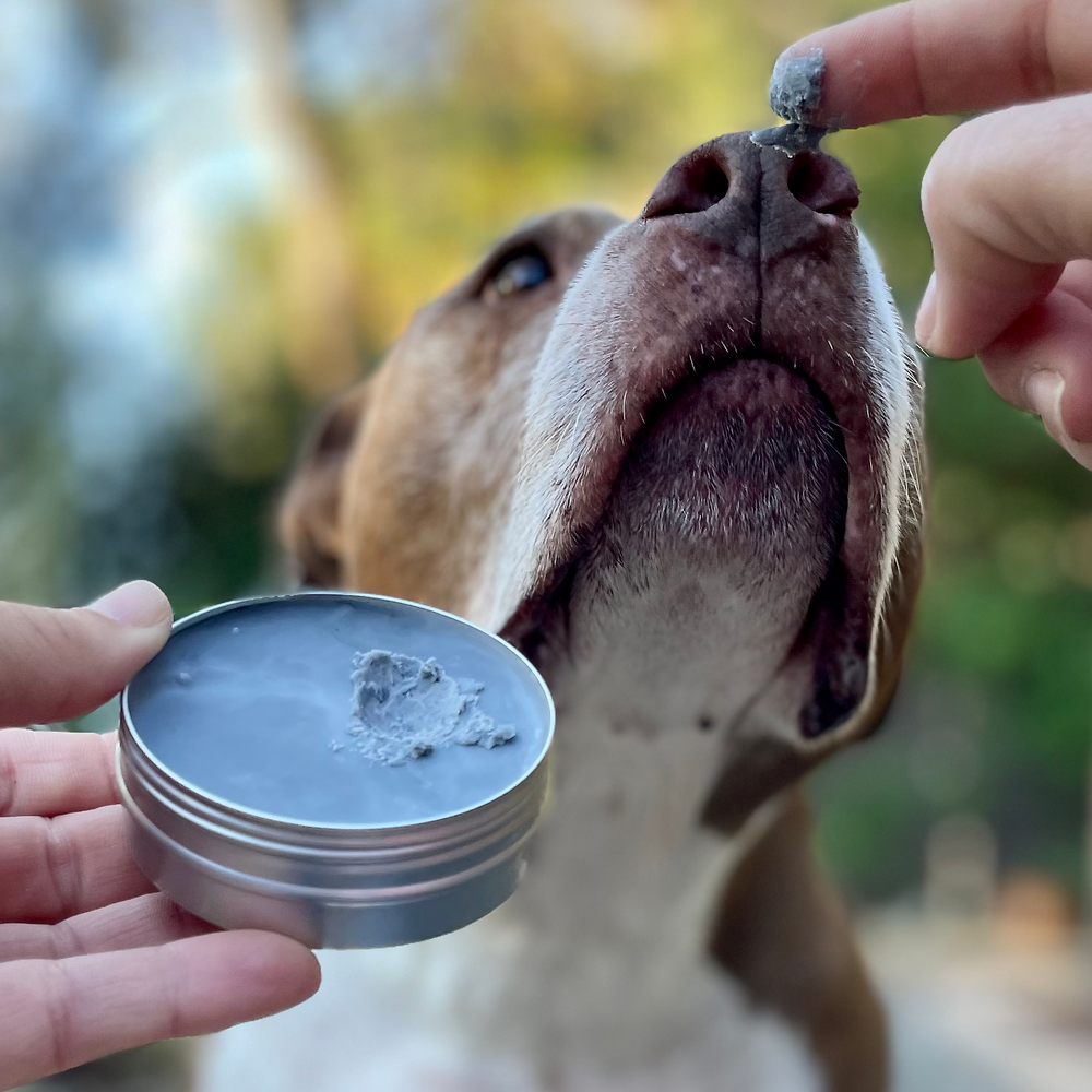 Balm Diggity Dog Skin Therapy With Activated Charcoal and Oatmeal - 2 oz Tin