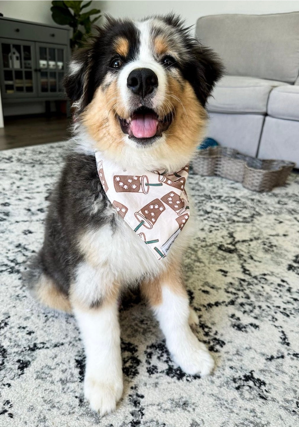 Iced Coffee Dog Bandana