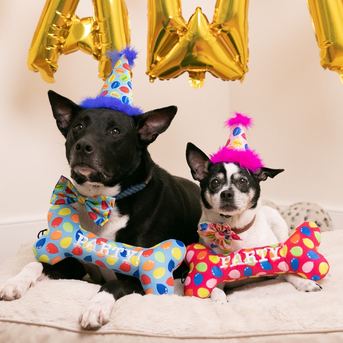 Blue Party Time Hat With Snugfit
