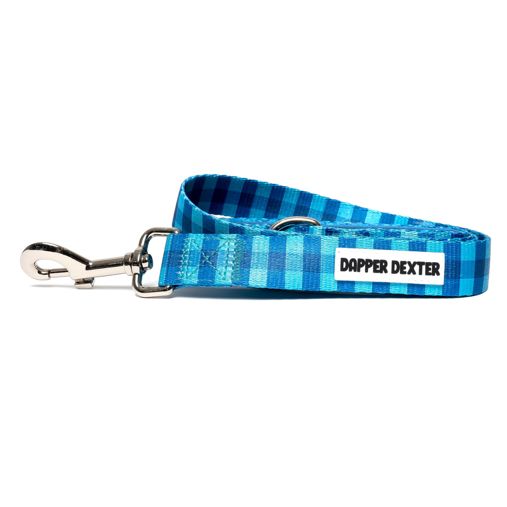Aqua Plaid Leash