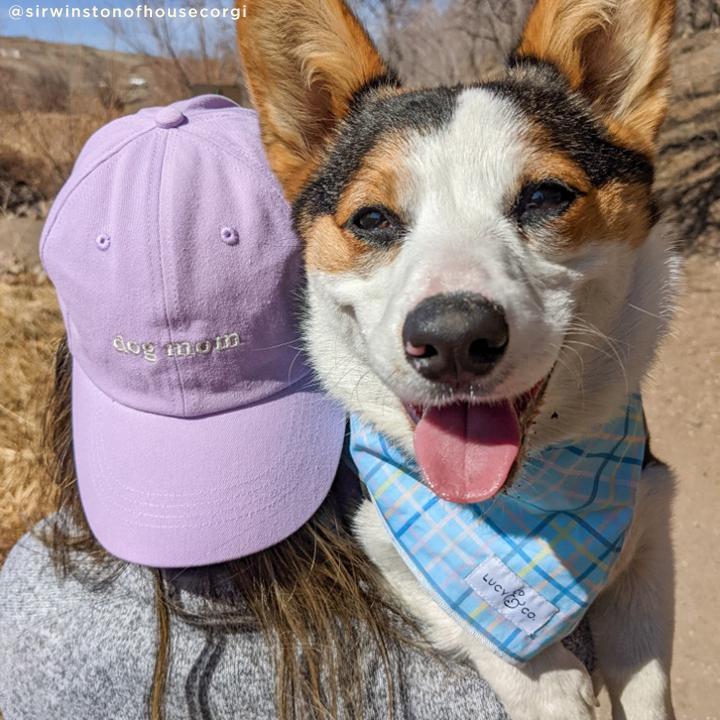 Lilac Dog Mom Baseball Hat