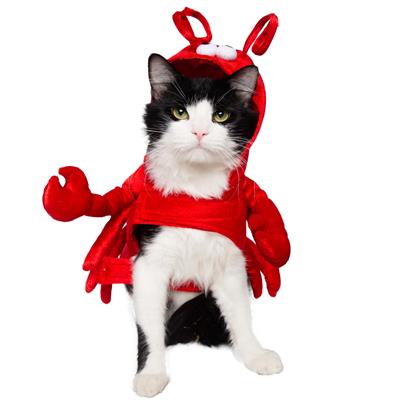 Lobster Costume