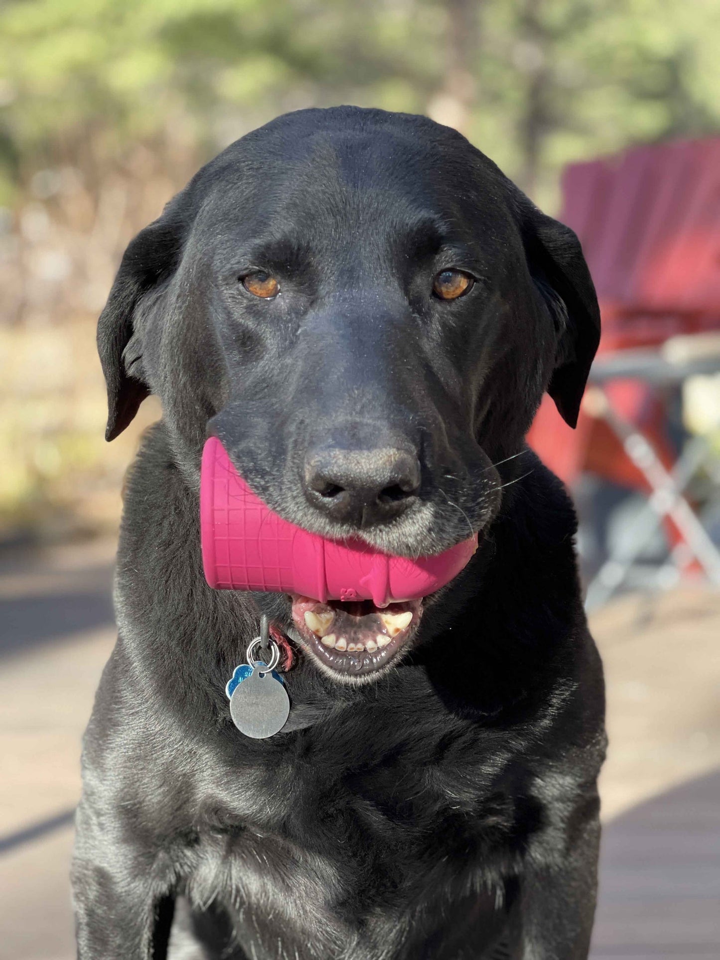 Ice Cream Cone Chew Toy and Treat Dispenser