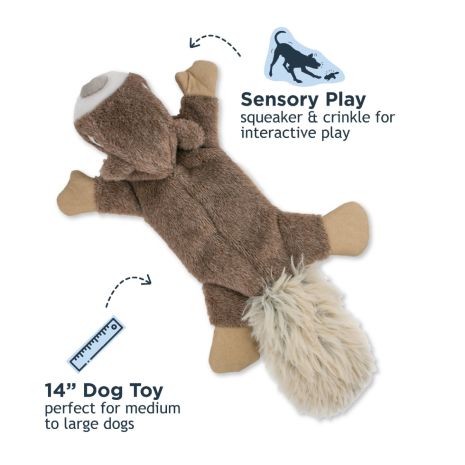 Stuffless Squirrel Squeaker Dog Toy 16"