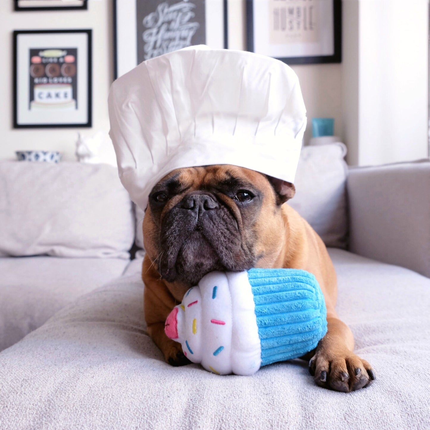 Blue Cupcake Plushie Squeaky Toy
