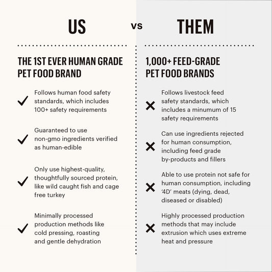 Honest Kitchen Salmon & Pumpkin Stew Dog Food Pour Overs