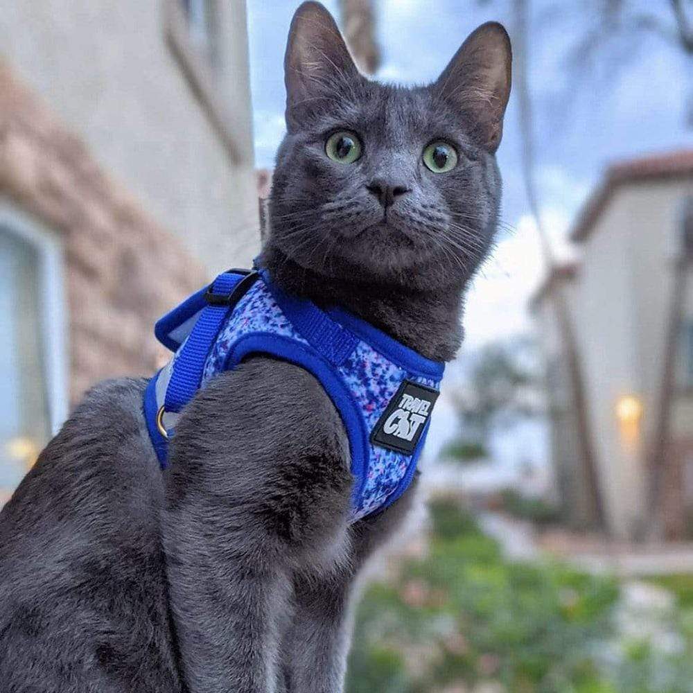 "The Groovy Cat" Tie Dye Limited Edition Harness & Leash Set